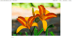 Desktop Screenshot of photos.marthaboers.com