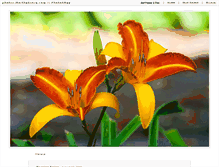 Tablet Screenshot of photos.marthaboers.com